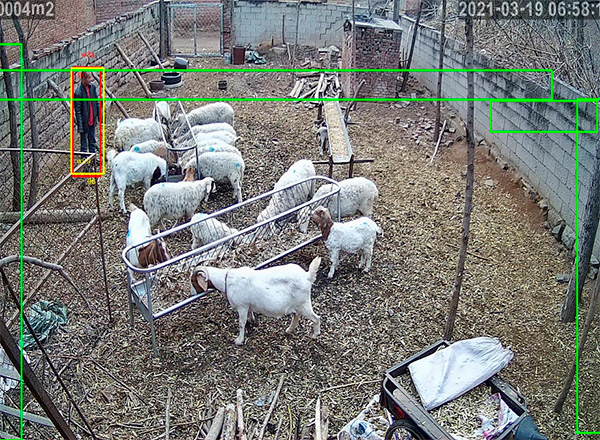 AI视频监控系统 羊圈智能监控系统